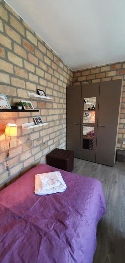 Bakina Kuca Daire Golubac Dış mekan fotoğraf
